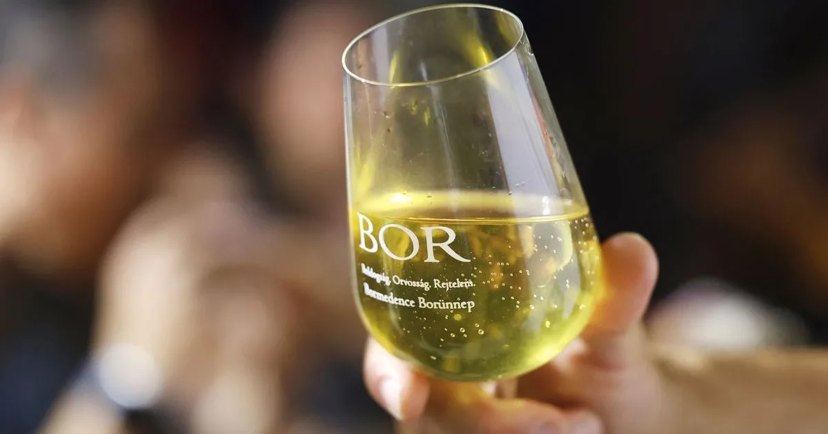 Borpiaci kijózanodás: ötmilliárd forinttal kevesebb exportbevétel