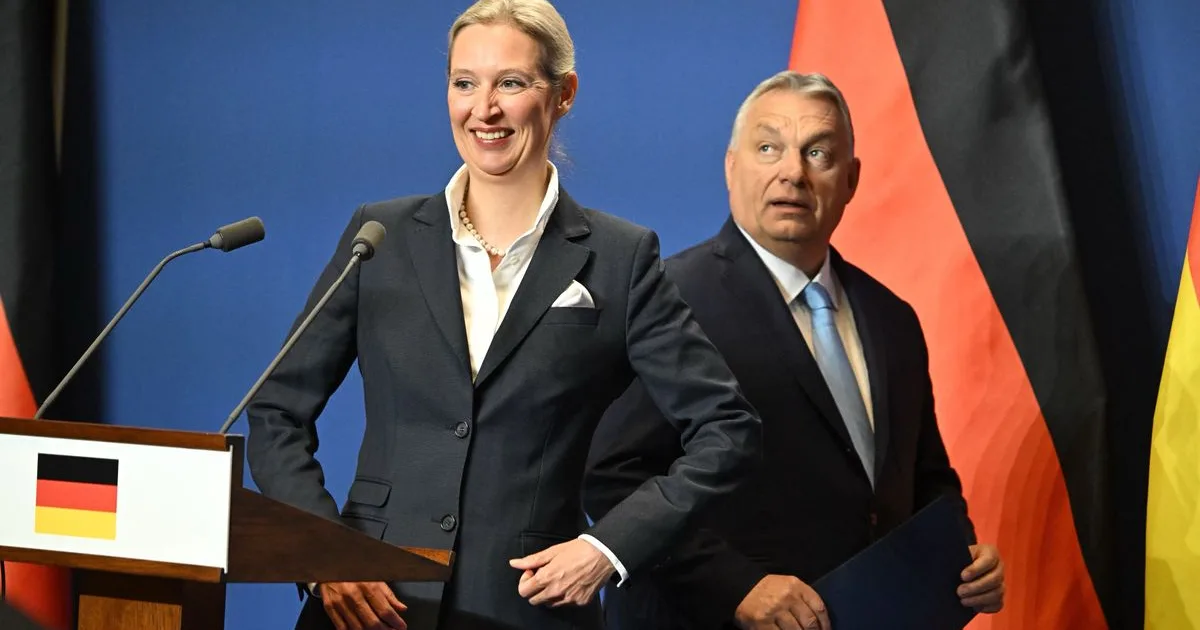 Brüsszel azonnal üzent Alice Weidelnek: Szász-Anhaltot Magyarország sorsára juttatnák