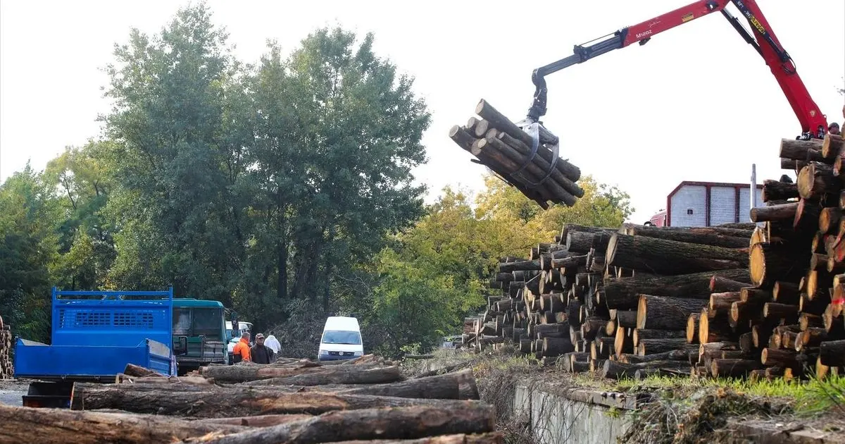 Hiába az áfacsökkentés, kevés lesz a tűzifa