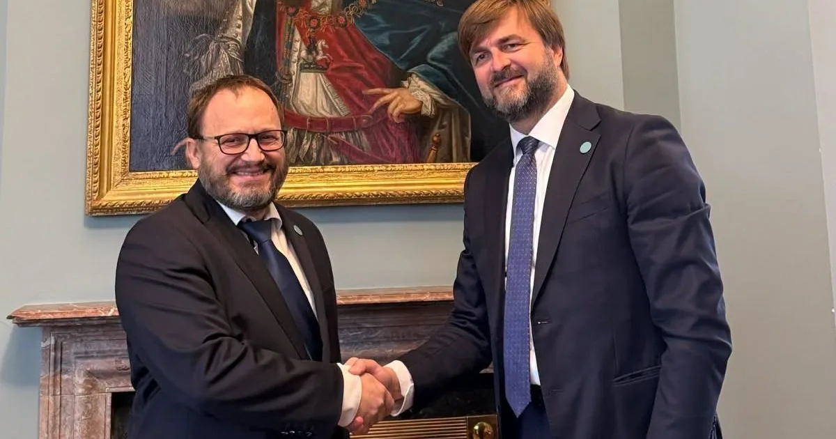 Kármán Dublinban is az Orbán-kormányról beszél