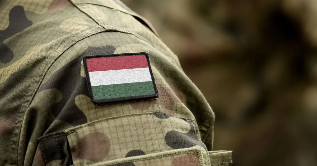 Meghalt két katona a Magyar Honvédségnél, azonnali vizsgálatot rendeltek el