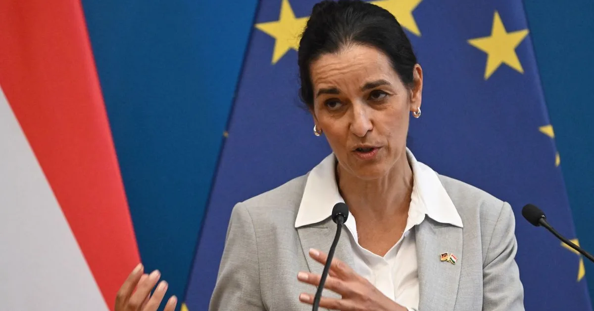 Orbán Anita: nem Ukrajnát vennék fel az EU-ba, Magyar Péter már tárgyalt