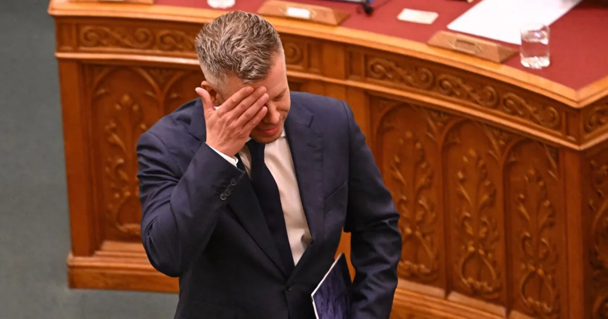 Szociális dolgozók tüntetnek a Tisza-kormány ellen – Magyar Péter is ott volt