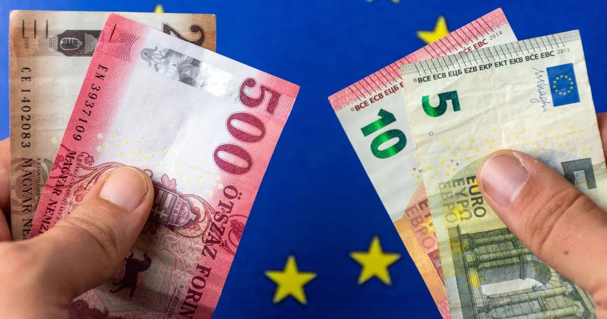 Zökkenőmentes euróbevezetés helyett szakértői figyelmeztetés és jegybanki türelemkérés