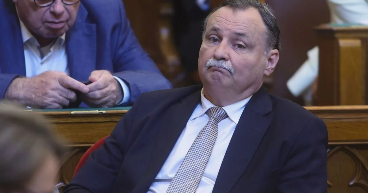 Zöldek döbbenete: Gajdos László szerint nem hosszabbítják meg a fakitermelési moratóriumot
