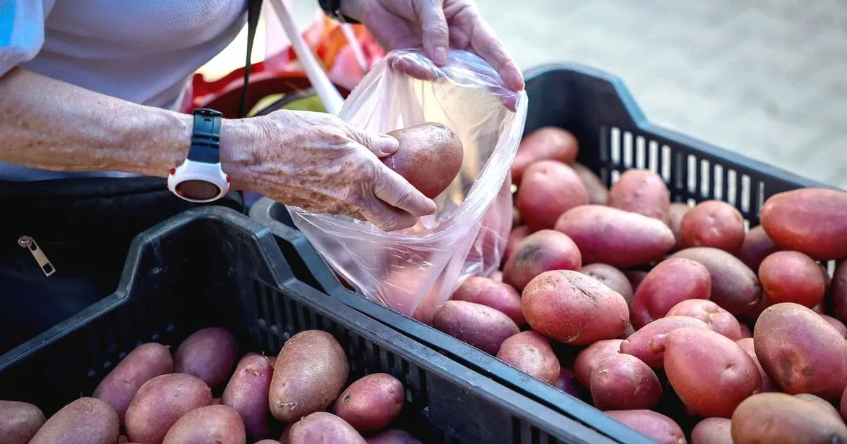 A magyar krumpli sorsa: import és árverseny nyomása a termelőkön