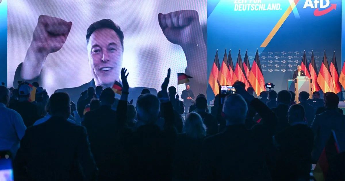 AfD–BMW-viszály: nem kapnak autót, Muskhoz fordultak segítségért
