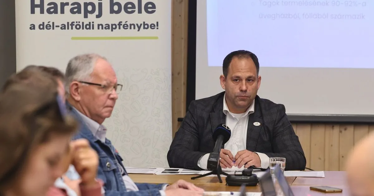 Árrésstop ki, 5 százalékos áfa be – ezt kérik a magyar zöldségtermelők