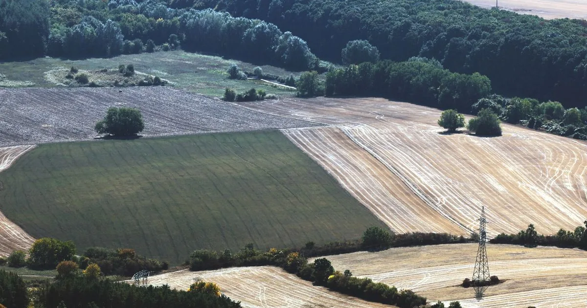Átalakul az agrárkamara: vége a jégkármérséklésnek, megszűnnek a megyei elnökségek