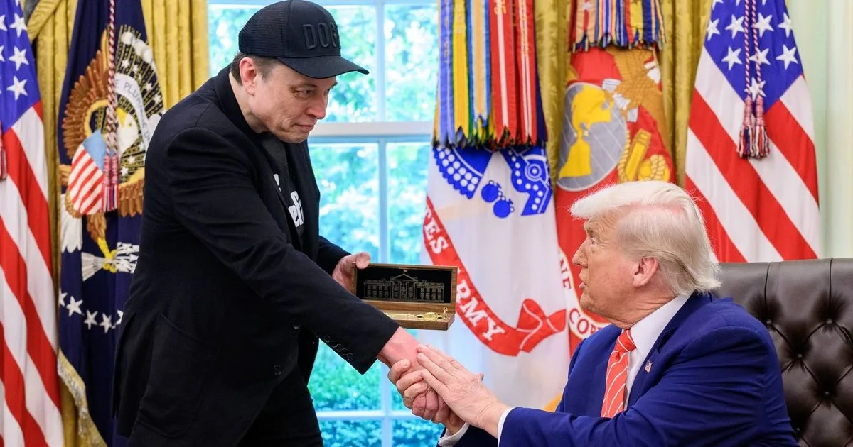 Elon Musk behódolt Trump akaratának: az elnök új AI-mániája dollármilliós káoszt hozhat