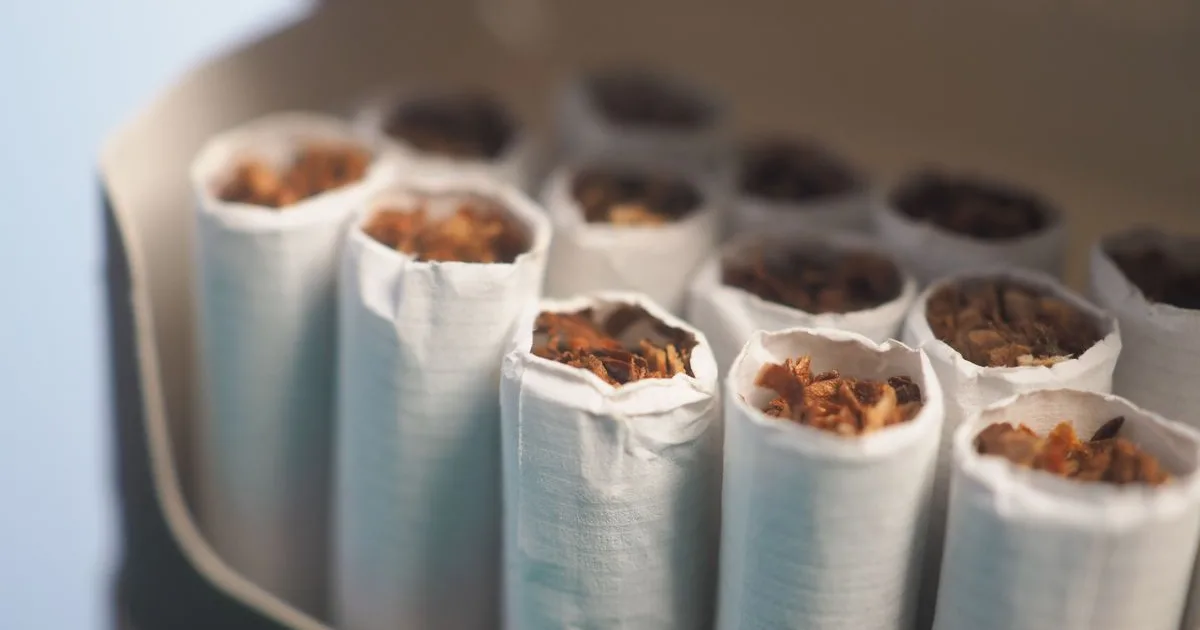 Illegális cigarettagyár a magyar határnál: embertelen körülmények között dolgoztak
