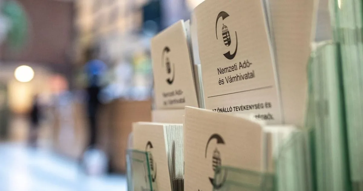 NAV-figyelmeztetés: új szabályok a csomagrendelésnél, uniós kezelési díj jön