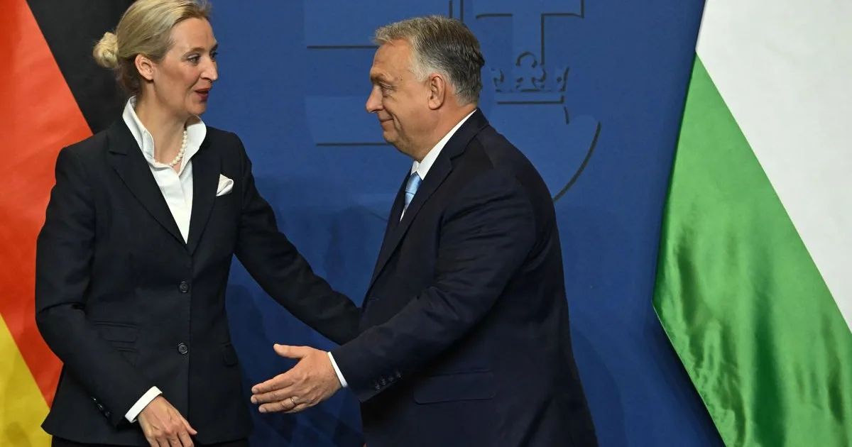 Német pártok állnak ki Orbán mellett, az AfD is ENSZ-főtitkárnak jelölné