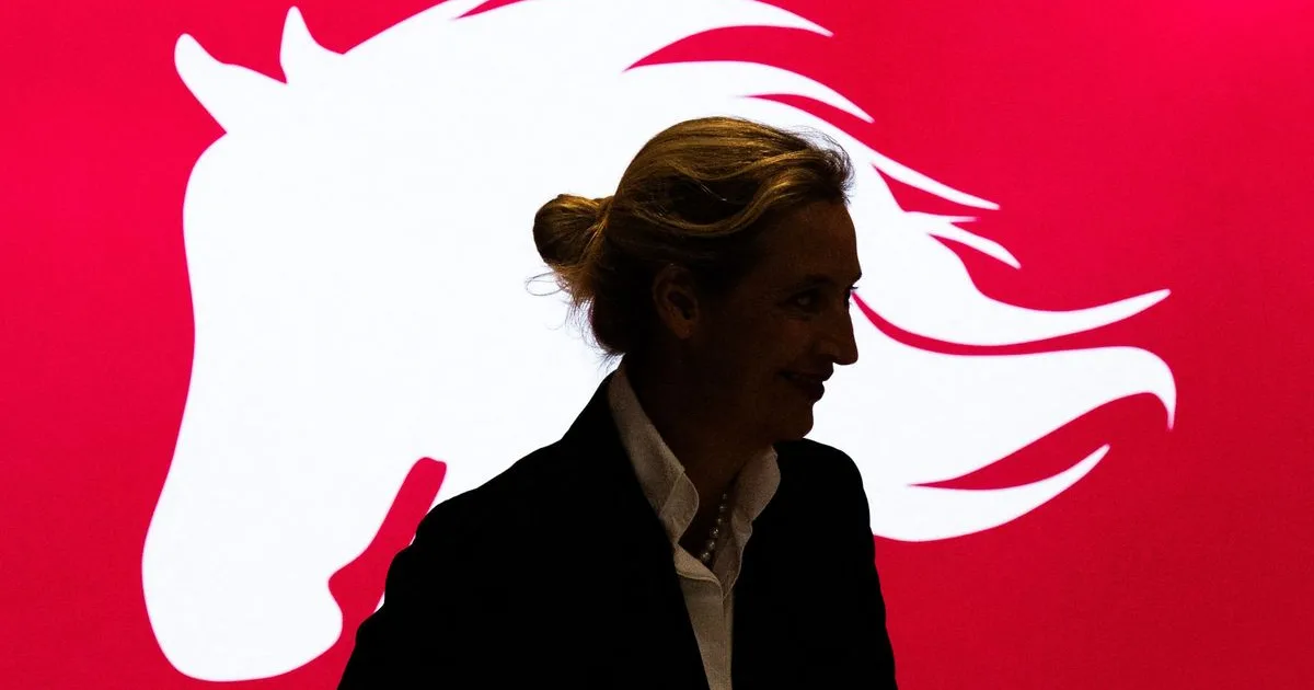 Reszkethet Von der Leyen: az AfD vezére bemutatta nagyszabású uniós reformtervét