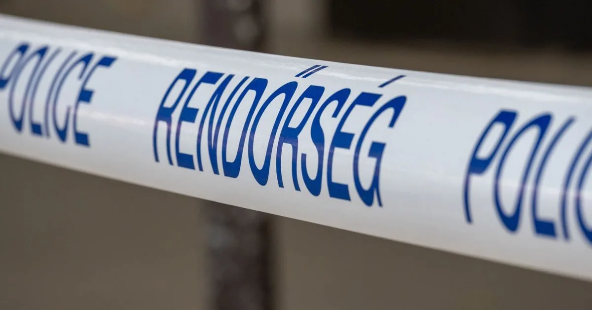 Visszatért a fenyegetés: bombariadó több magyarországi iskolában